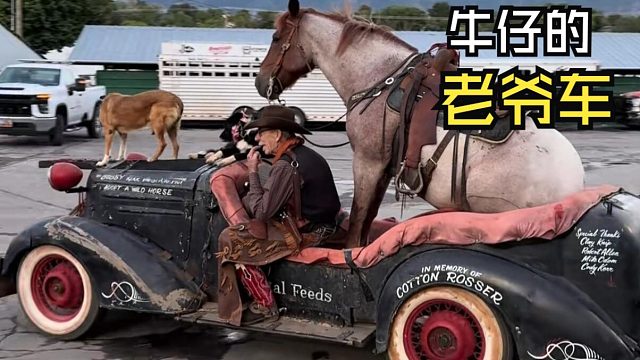 那些治愈的动物视频！