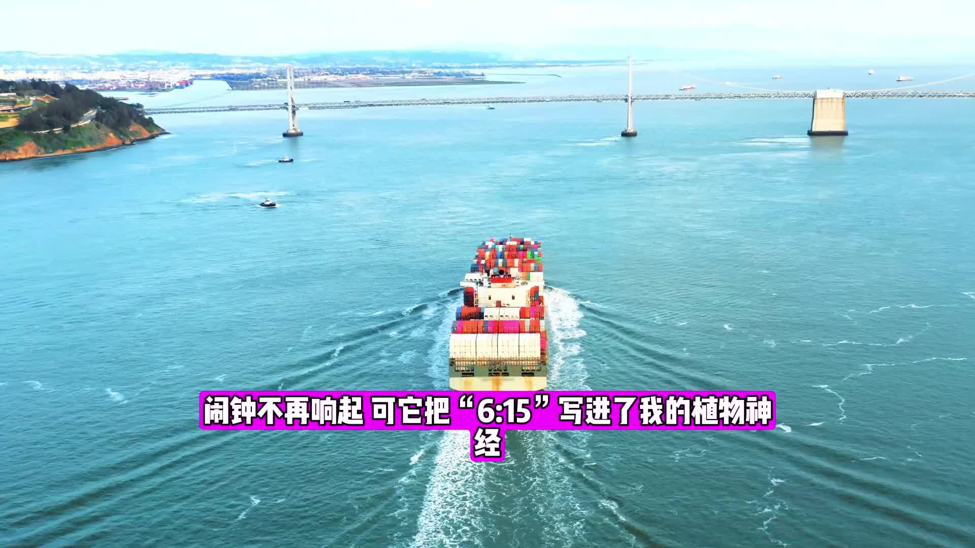 旧手机里永远删不掉的闹钟梨花声音研修院退款