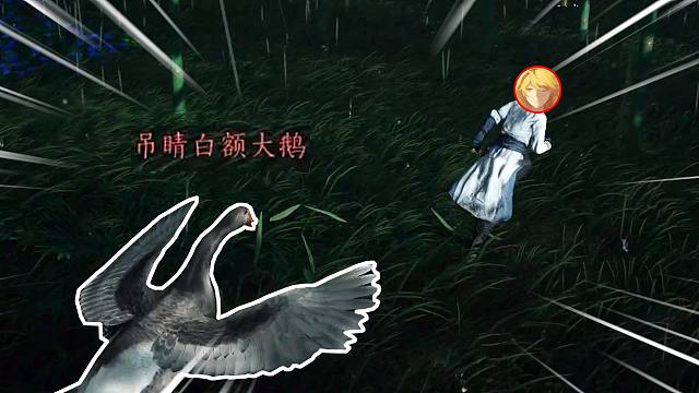 原来我小时候就被这鹅追过吗？！