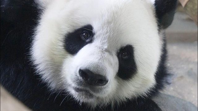 年轻真好，倒头就睡