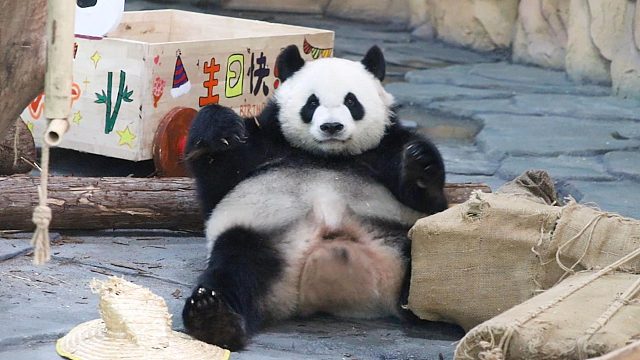 语大王的不羁时刻