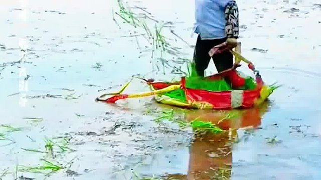 当你仍在手动插秧时，别人已掌握了机械化操作