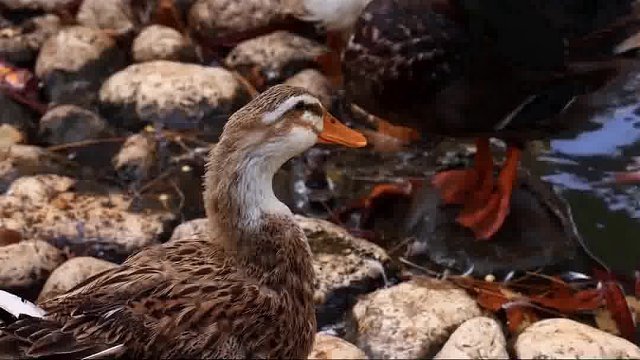 思考未来，每个人都有畅想过未来，每个人对未来的定位也不一样