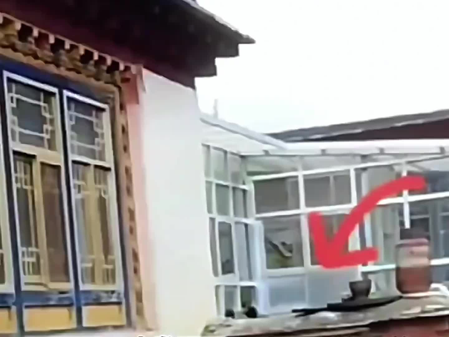 闯入牧民家中惊险画面