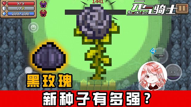 元气骑士：新种子黑玫瑰有多强？附赠50%范围伤害！无CD、不固定伤害