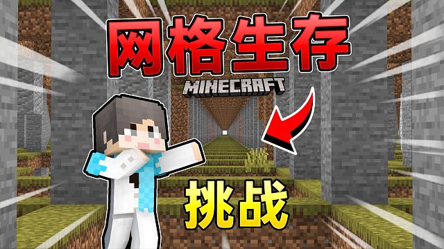 MC整个世界变成了网格！该如何生存下去？！我的世界