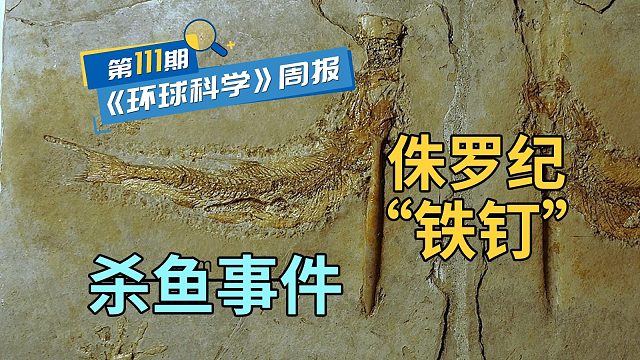一亿多年前的地层，惊现大量被“铁钉”穿喉杀死的鱼｜《环球科学》周报111期