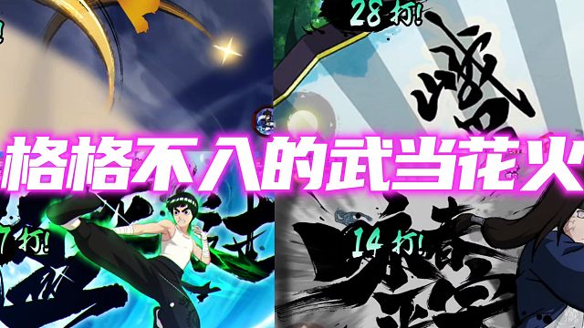 格格不入的功夫忍者