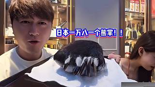 小酷：日本一個(gè)熊掌一萬(wàn)八把眾人驚呆了！