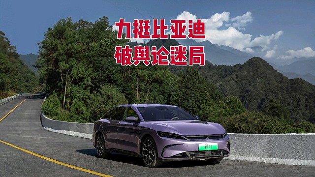 比亚迪这样的成绩谁看了不眼红啊，难怪近一个月内被人二次使坏