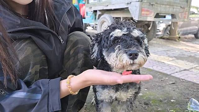 今天空军的原因