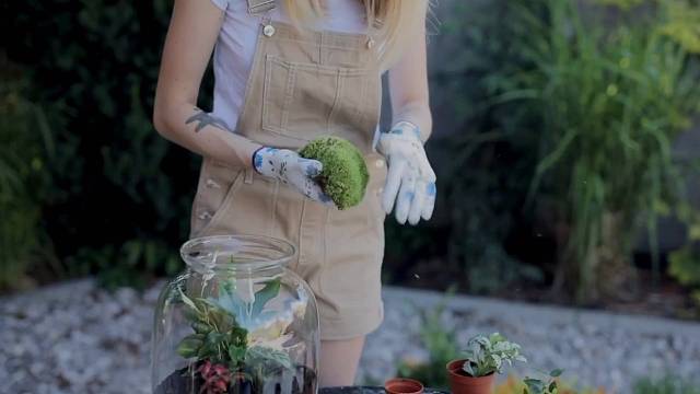 冠军乔0907为热爱记录美好生活