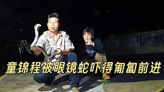 童锦程被眼镜蛇吓得匍匐前进