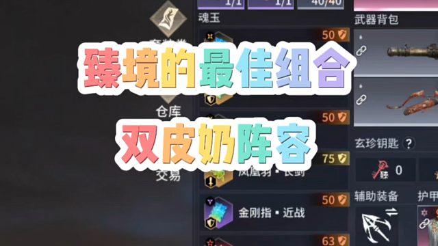 打新地图臻境最佳组合属于双皮奶阵容