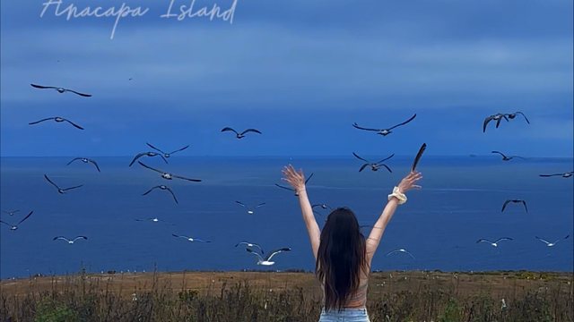 不需要任何滤镜的小岛