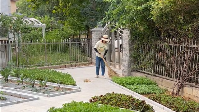 这种小院生活，是你喜欢的吗？#田园生活