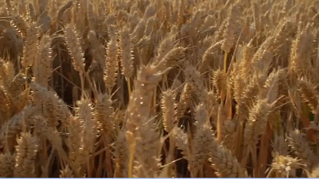 升白理想营养！指数up up