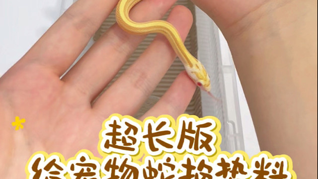 玉米蛇换垫料超长版