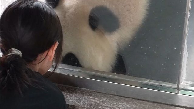 白白胖胖充满希望