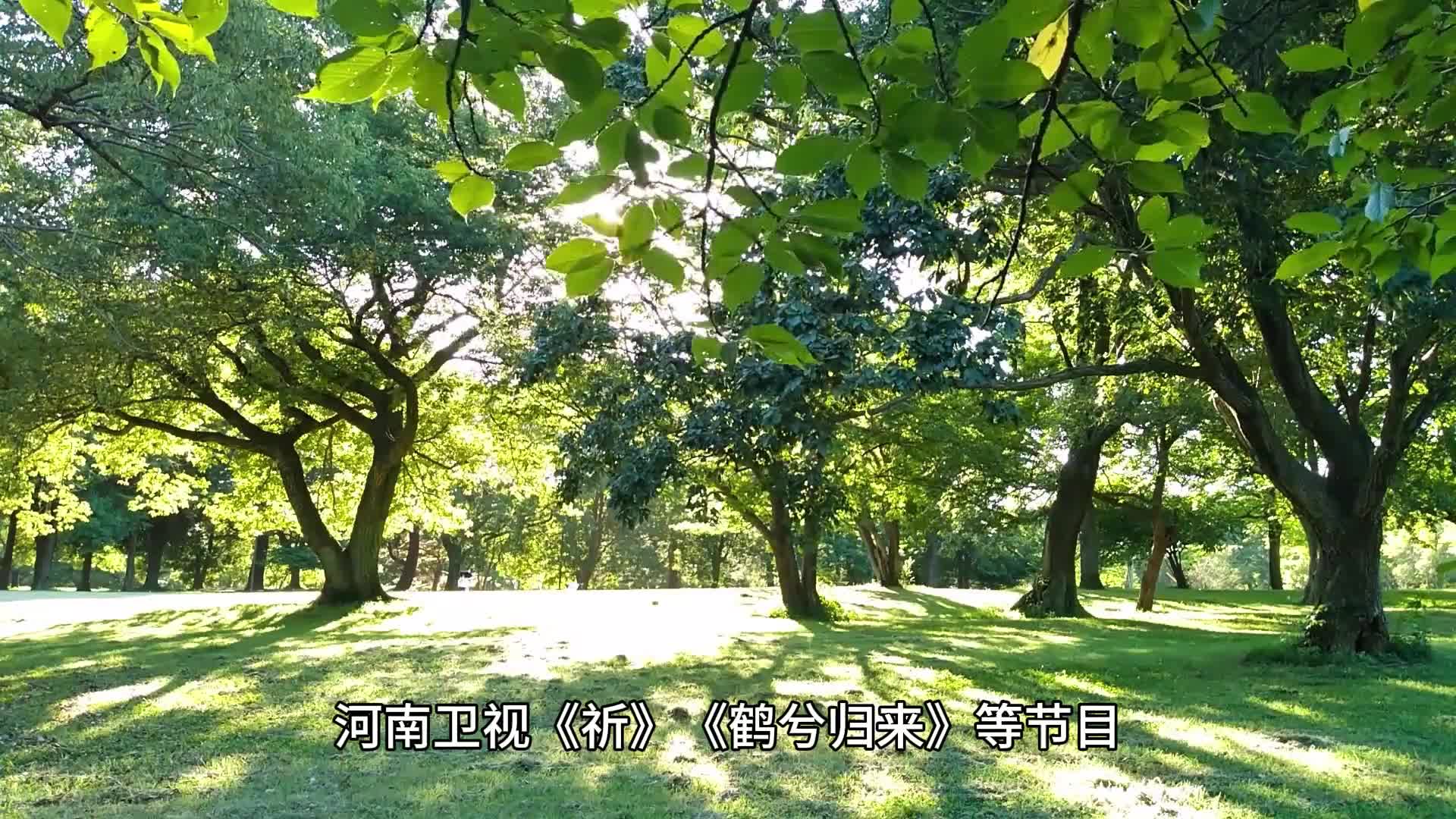 梨花奇门研修院退费：传统习俗的当代价值与传承之道
