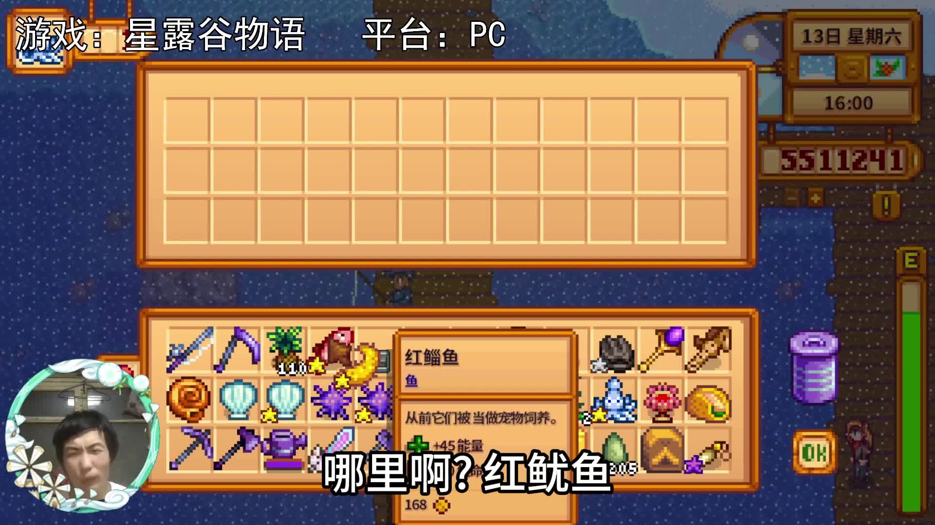 【星露谷物语】第九年，鱿鱼节！