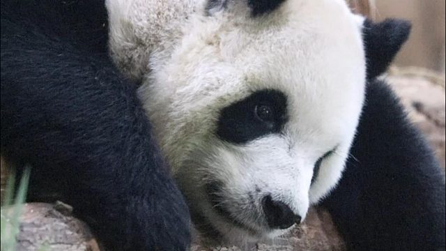 星语：没一个我爱吃的，还是回去接着睡吧