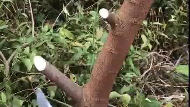 你才是……哈哈哈