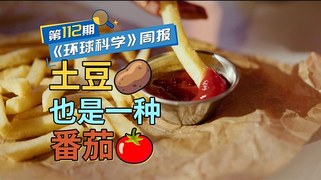 900万年前，土豆是西红柿演化而来的｜《环球科学》周报112期
