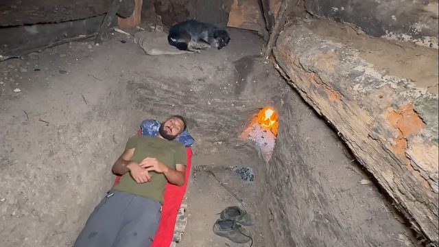 在倒塌的大树下，完美利用也能建造出庇护所，隐秘性好还舒适