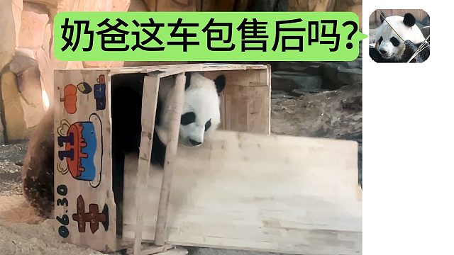 人，这礼物我很喜欢