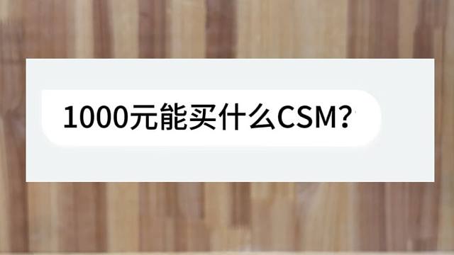 1000元能买到什么CSM？