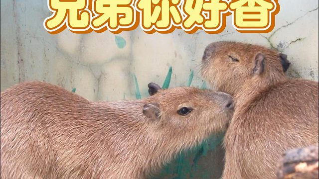 青春没有售价，同事入口即化