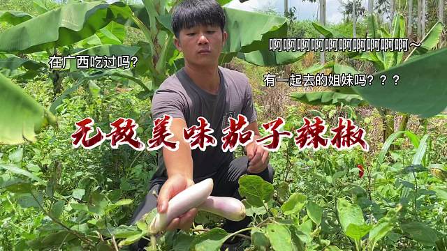 农村总是种了很多蔬菜，茄子和辣椒是夏天最适合下稀饭了