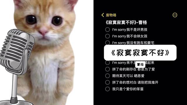 Im sorry我不是坏男孩