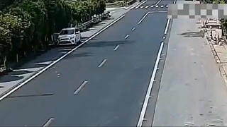 電動車：報保險了算我一個行不，我大胯扭了[nianyu]