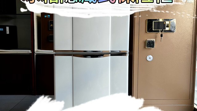 完美融入冰箱设计，安全守护不留痕迹。