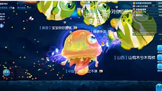 詐騙的日常