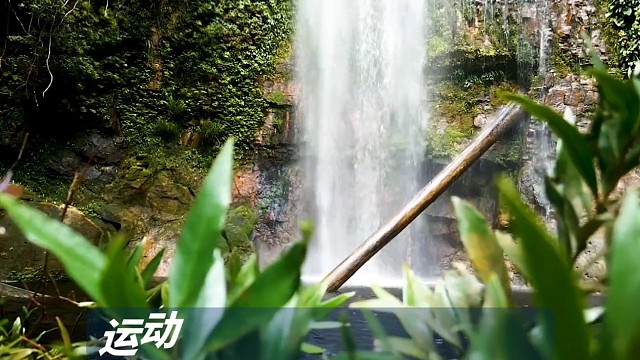 我与岁月争满分-冠军乔0907