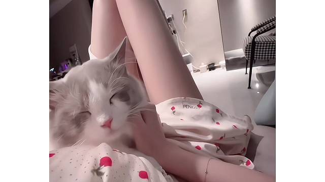 梦想是做一只最幸福的小猫