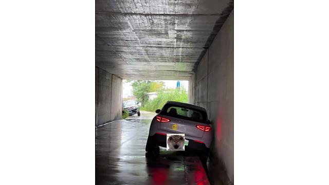 一个叫东倒 、一个叫西歪