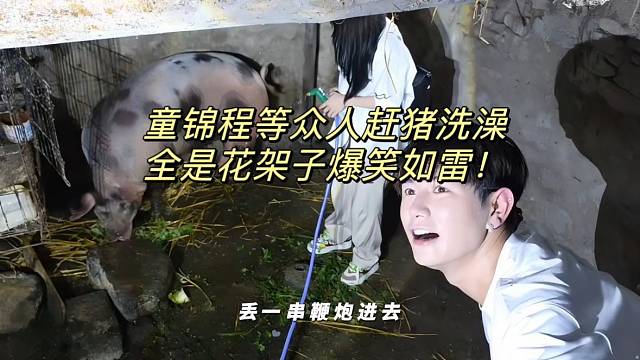 童锦程等众人赶猪洗澡 全是花架子爆笑如雷！