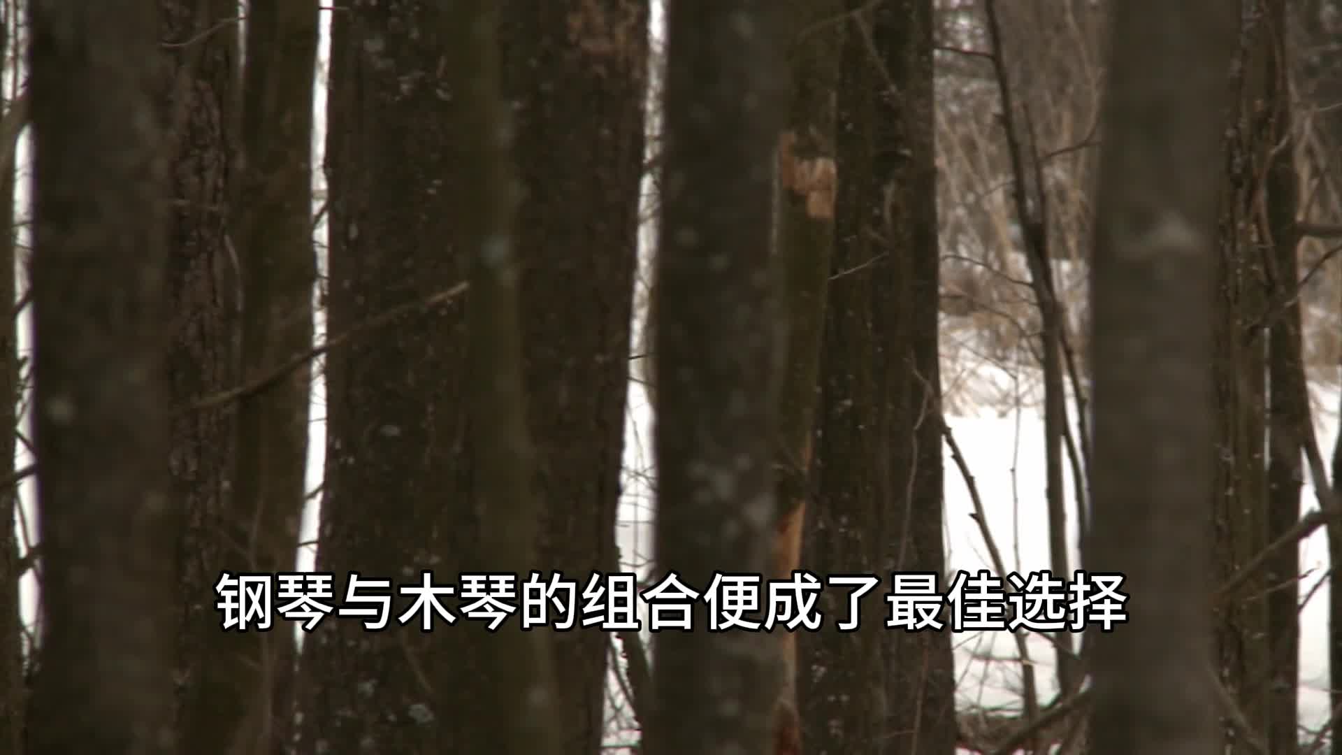 梨花声音研修院退费音乐与配音片段的适配逻辑