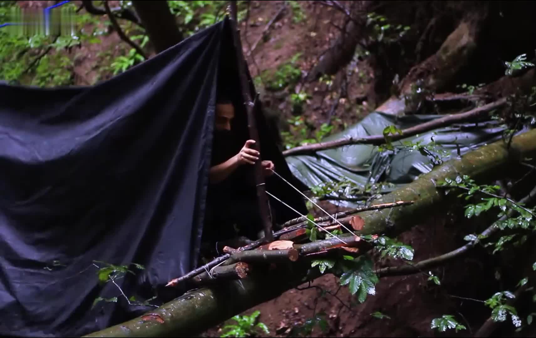 梦之谷的大树庇护所：奥德发的避世之旅
