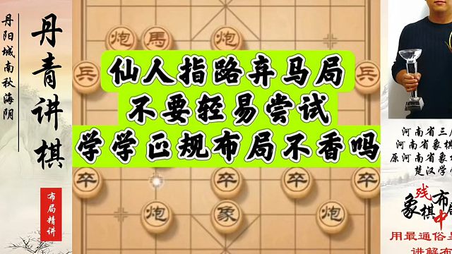 仙人指路弃马局不要轻易尝试，学学正规布局不香吗？河南省象棋冠军黄丹青真心教棋，带你上业九，不上业九不