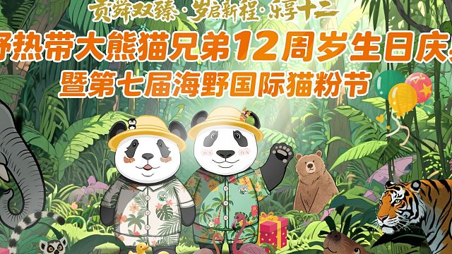 8月17日来海野给岛主过12岁生日啦