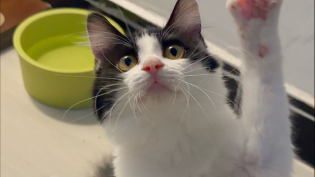 每天玩个口罩都能玩半小时