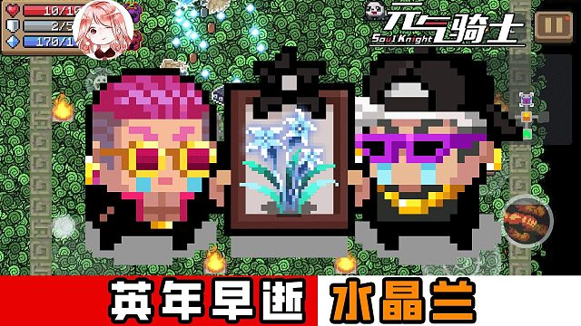 元气骑士：英年早逝的水晶兰！我视频还没做完，怎么就削弱了？