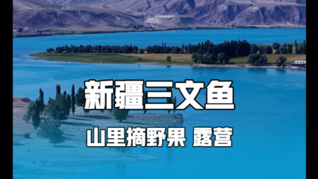 房车自驾新疆，尝本地三文鱼，摘野果，山里露营吃顿好的