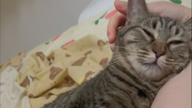 年轻就是好啊，倒头就睡了