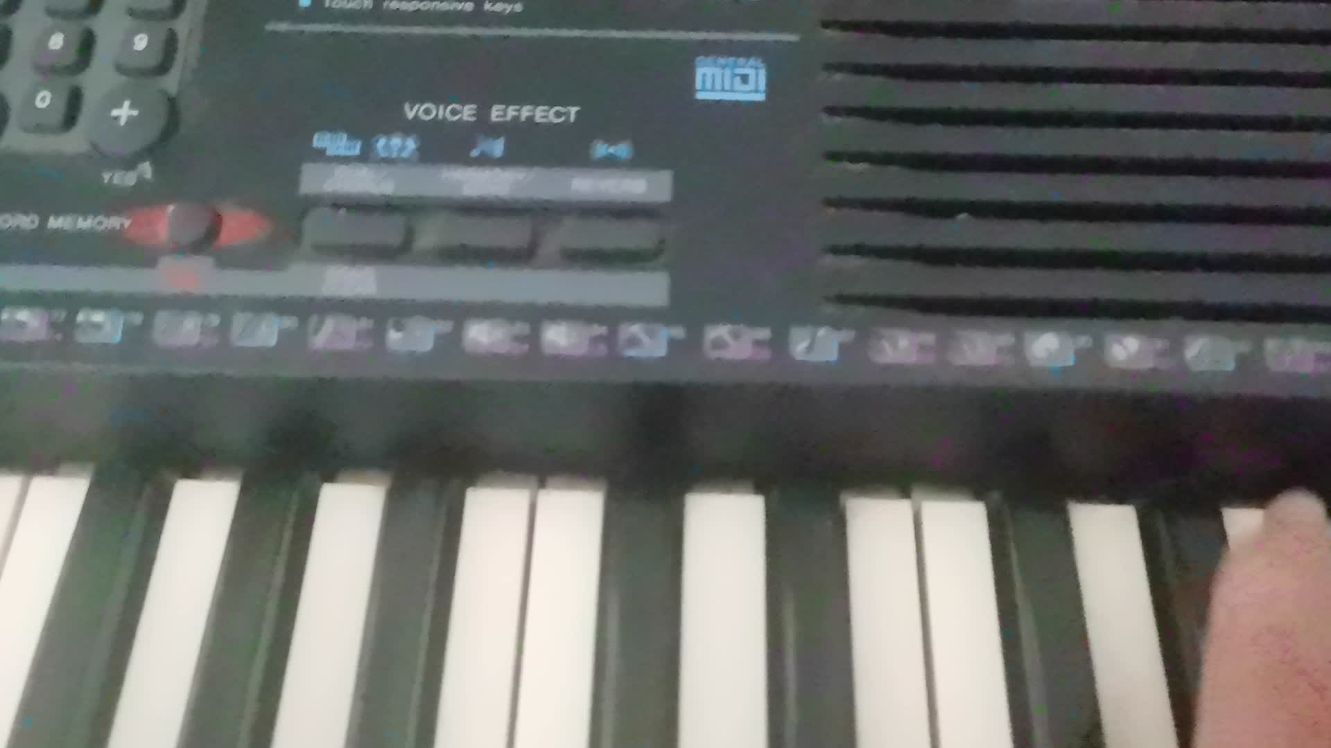 70块钱的雅马哈YAMAHA PSR-220